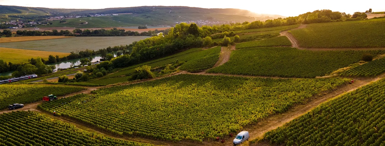 Le vignoble Dehours et Fils, rive gauche de la Vallee de la Marne